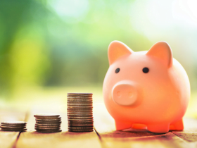 Juliano Luiz Casamalli