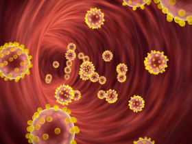 Allana Ferreira do Valle