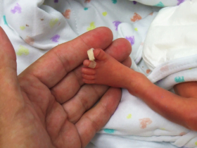 Orcione Ferreira Guimaraes Junior