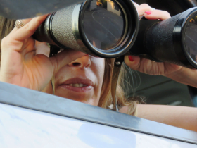 Eloy de Lacerda Ferreira