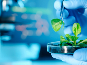 Antonio Augusto de Souza Coelho