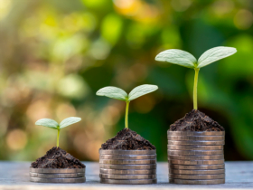 Estanislao Franco De Oliveira