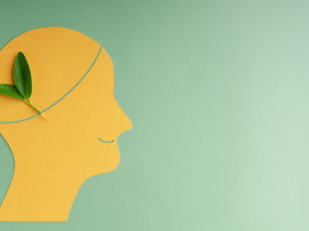 Jacques Dimas Mattos Albuquerque de Souza