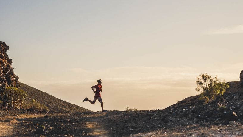 Sidnei Piva de Jesus