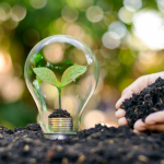 Carlos Alberto Arges Junior