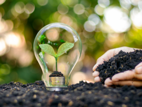 Carlos Alberto Arges Junior