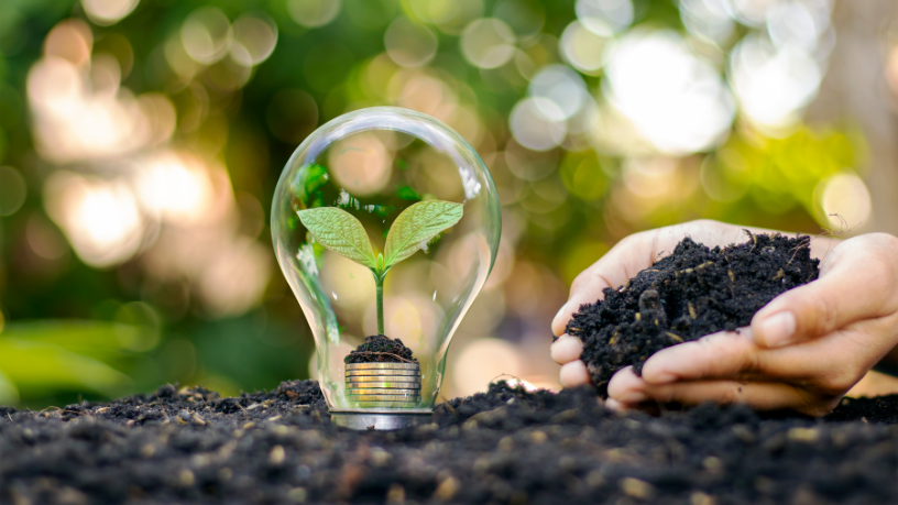 Carlos Alberto Arges Junior