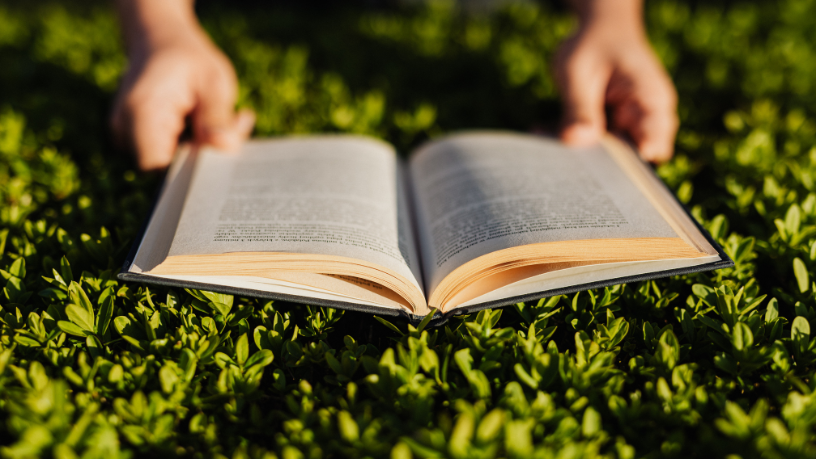 Alfredo Moreira Filho