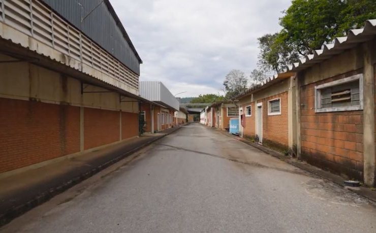 Família Shih